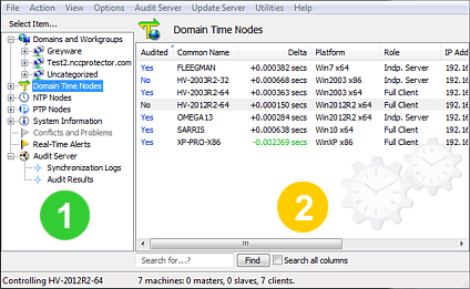 Domain Time II Manager - Panes